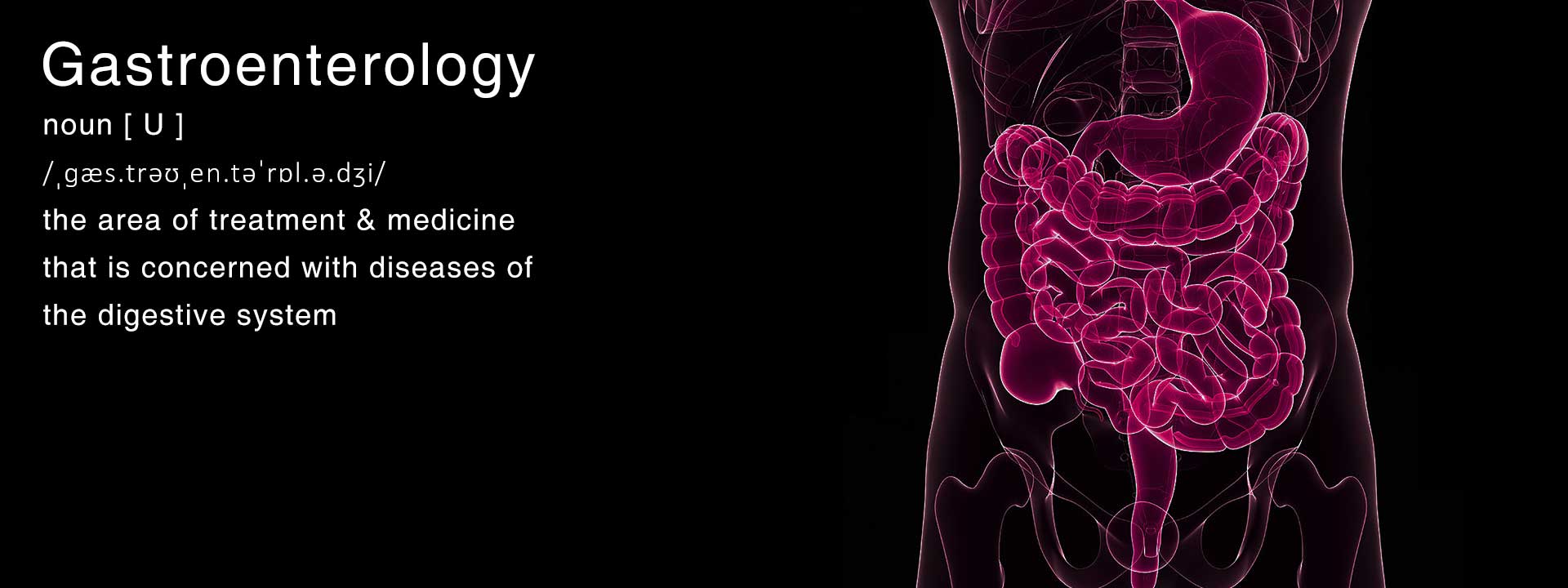 Gastroenterology at North City hospital header
