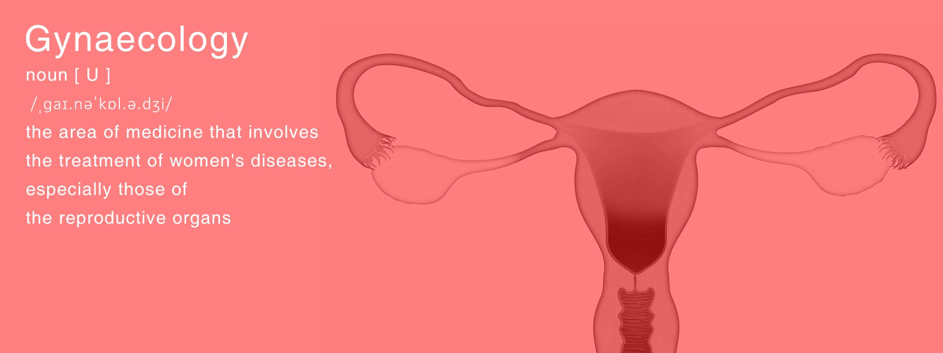 Gynaecology header - North City Hospital