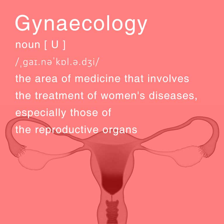 Gynaecology at North City Hospital