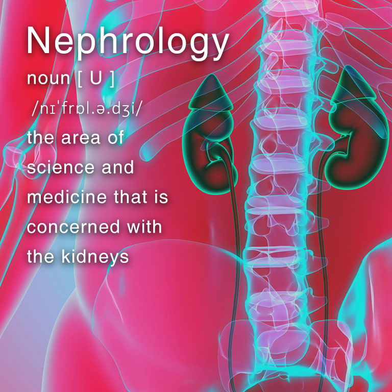 Nephrology Mobile Header at North City Hospital