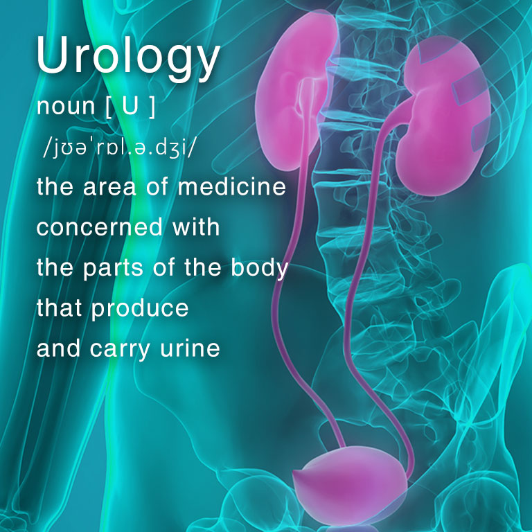 Urology M at North City Hospital