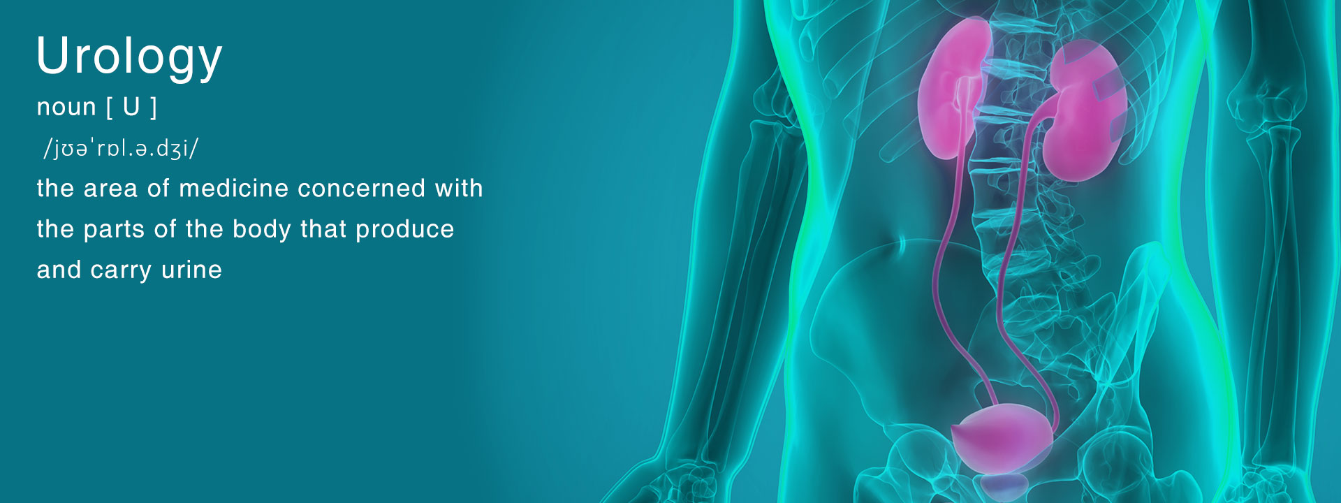 Urology department at North City hospital